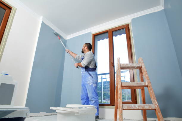 Trusted Chelsea Cove, NY Mold Removal Experts