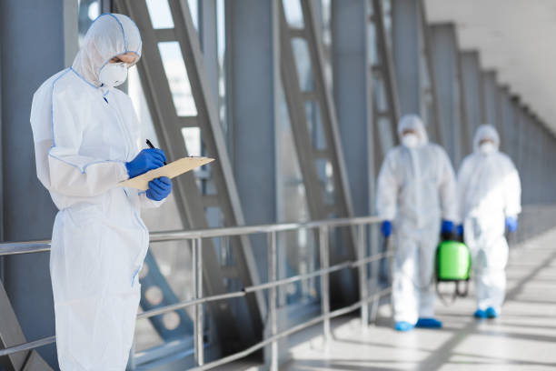 Best Basement Mold Removal  in Chelsea Cove, NY