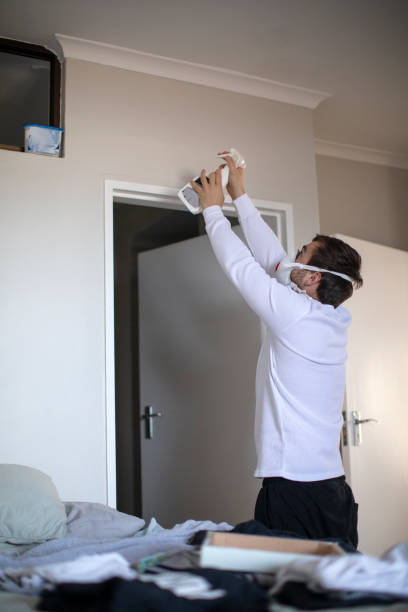 Best Biohazard Mold Removal  in Chelsea Cove, NY