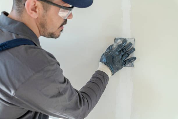 Environmental Consulting for Mold Prevention in Chelsea Cove, NY