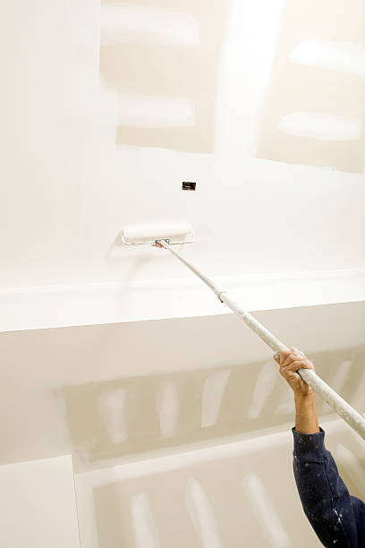 Best Industrial Mold Remediation  in Chelsea Cove, NY