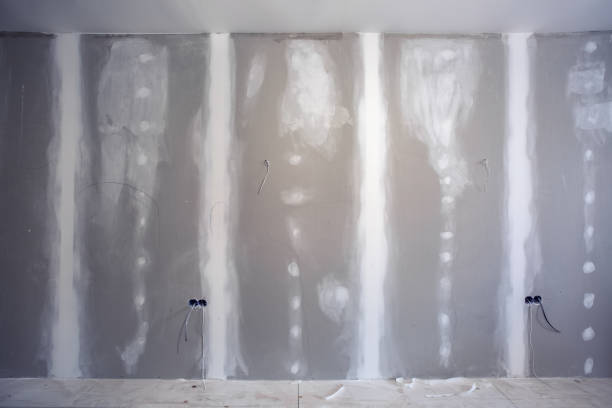 Best Attic Mold Removal  in Chelsea Cove, NY
